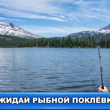 Рыбный дождь — это настоящий симулятор рыбной ловли, позволяющий забросить удочку в настоящие водоёмы со всего мира и поймать ту рыбу, которая там водится.