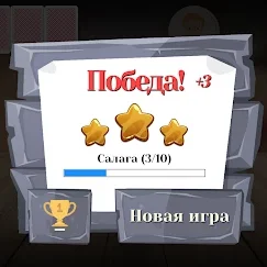 Дурак классический и переводной. Карьера и достижения