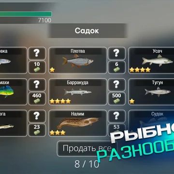 Целься по рыбе и наполняй садок — аркадная рыбалка с апгрейдами