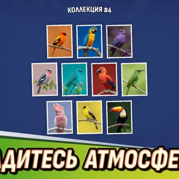 Осколочки! Пасьянс Собери картинки — уникальный пасьянс-пазл! Собирайте красивые картины из фрагментов. Расслабляющая игра на логику и внимательность.