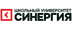 Логотип магазина Школа Синергия